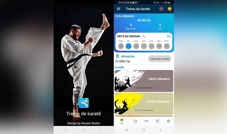 Interface do app Treino de Karate