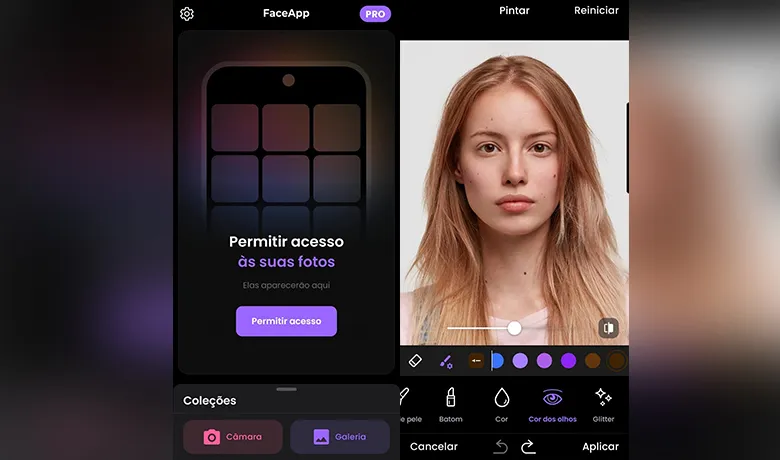 Faceapp interface