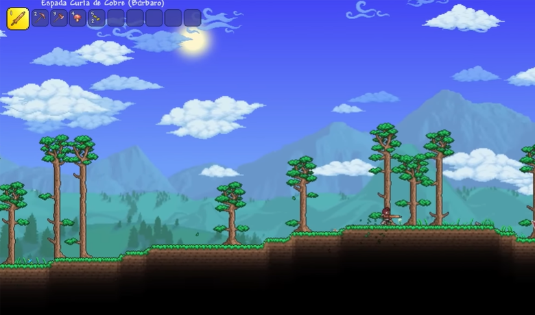 Foto do terraria