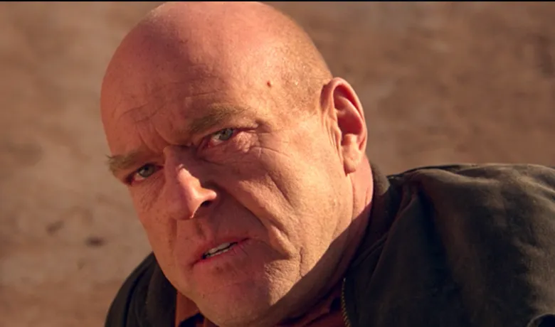 Imagen ilustrativa de Hank Schrader