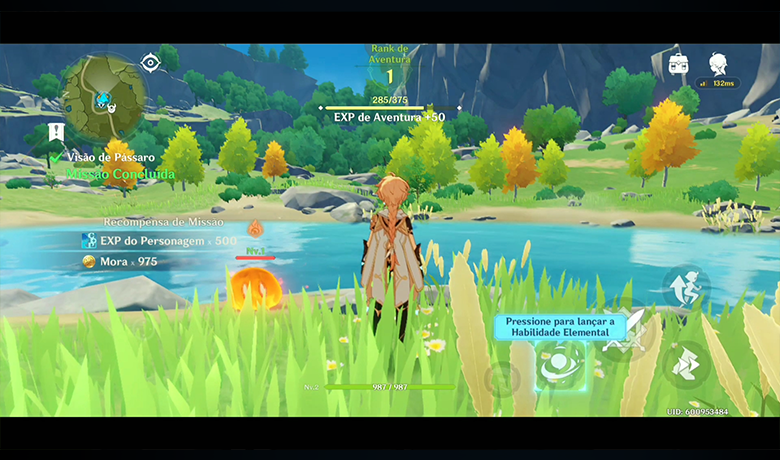 Genshin Impact protagonist standing amidst vegetation admiring a lake