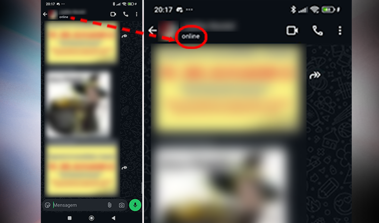 Capturas de tela mostrando onde ver que a pessoa está online